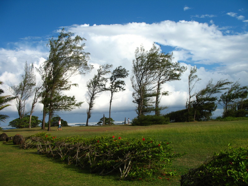 Kauai: Lihue photo