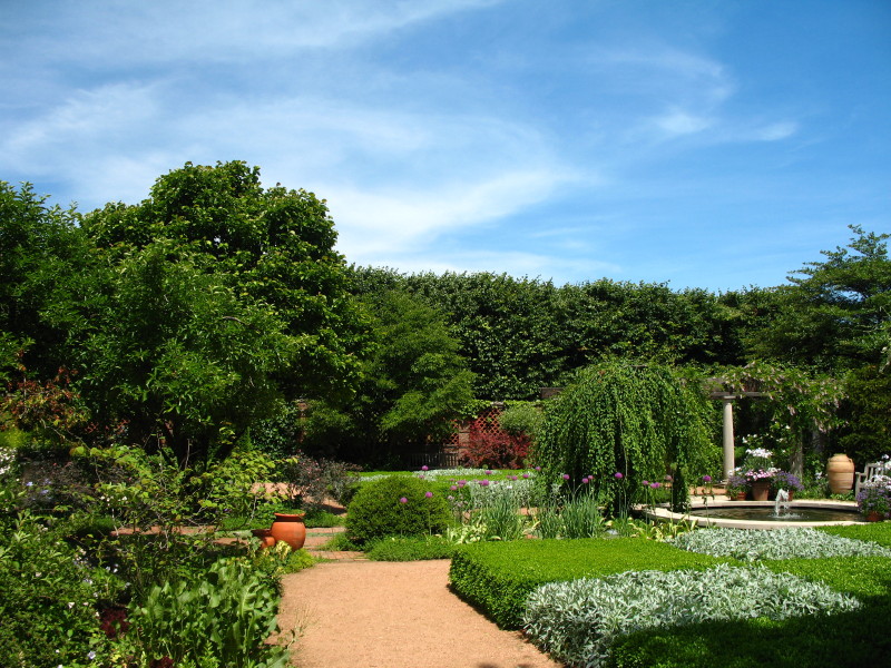 Botanic Garden'07 photo