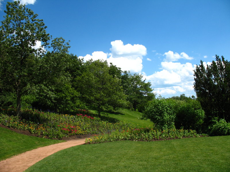 Botanic Garden'08 photo
